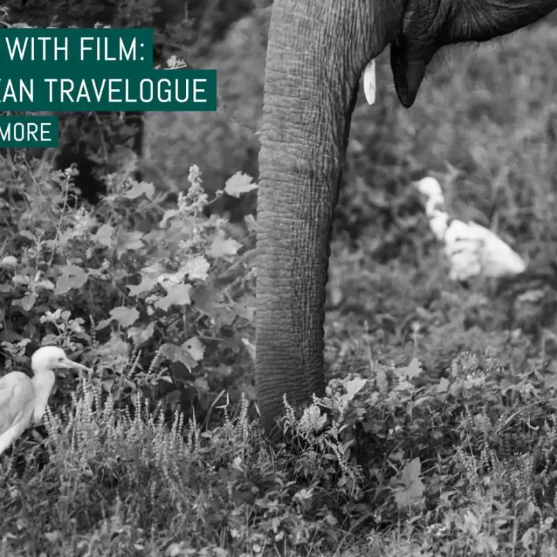 Travelling with film: my Sri Lankan travelogue