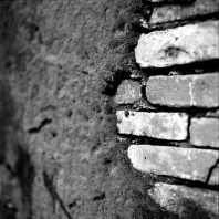 Nature always wins - Shot on CatLABS X-Film 80 at EI 50 - Black and white negative in 120 format shot as 6×6 - Pull processed 2/3 stops