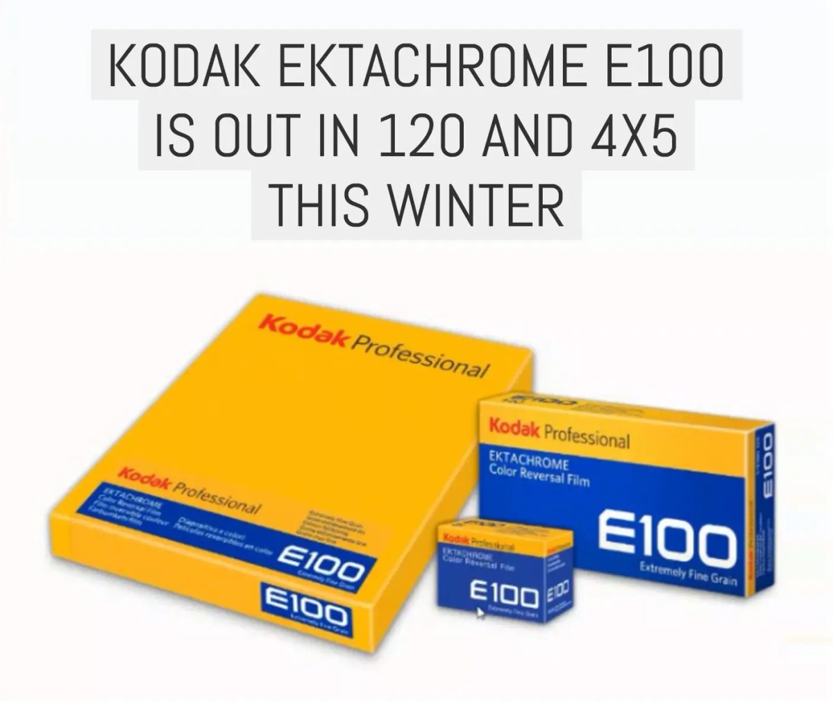 Kodak EKTACHROME E100 is out in 120 and 4x5 this winter