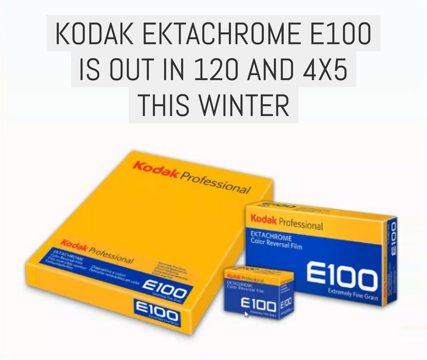 It’s OFFICIAL: Kodak EKTACHROME E100 is out in 120 and 4×5 this Winter [UPDATE 03]