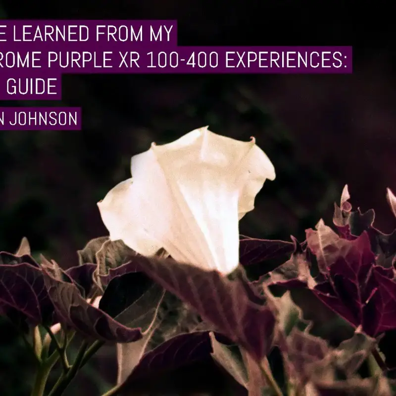 What I've learned from my LomoChrome Purple XR 100-400 experiences: A user's guide