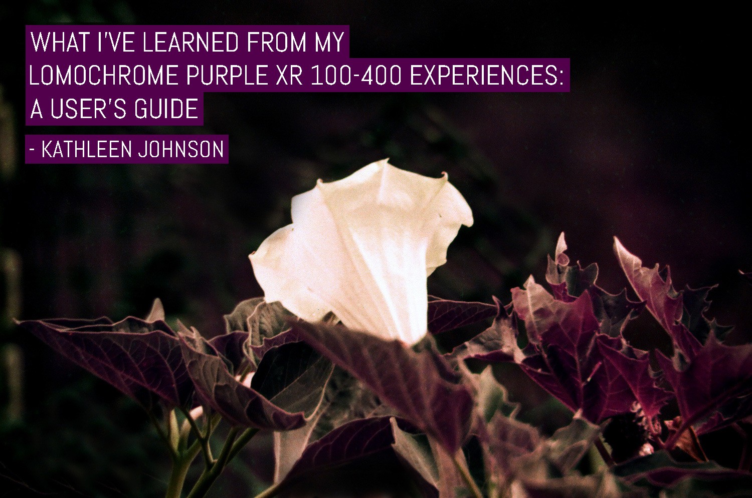 What I've learned from my LomoChrome Purple XR 100-400 experiences: A user's guide