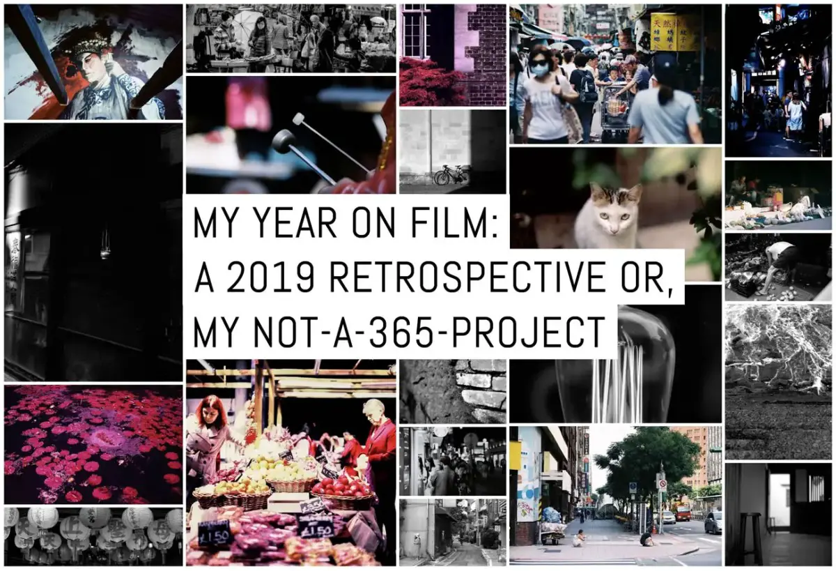 My year on film: A 2019 retrospective or, my not-a-365-project