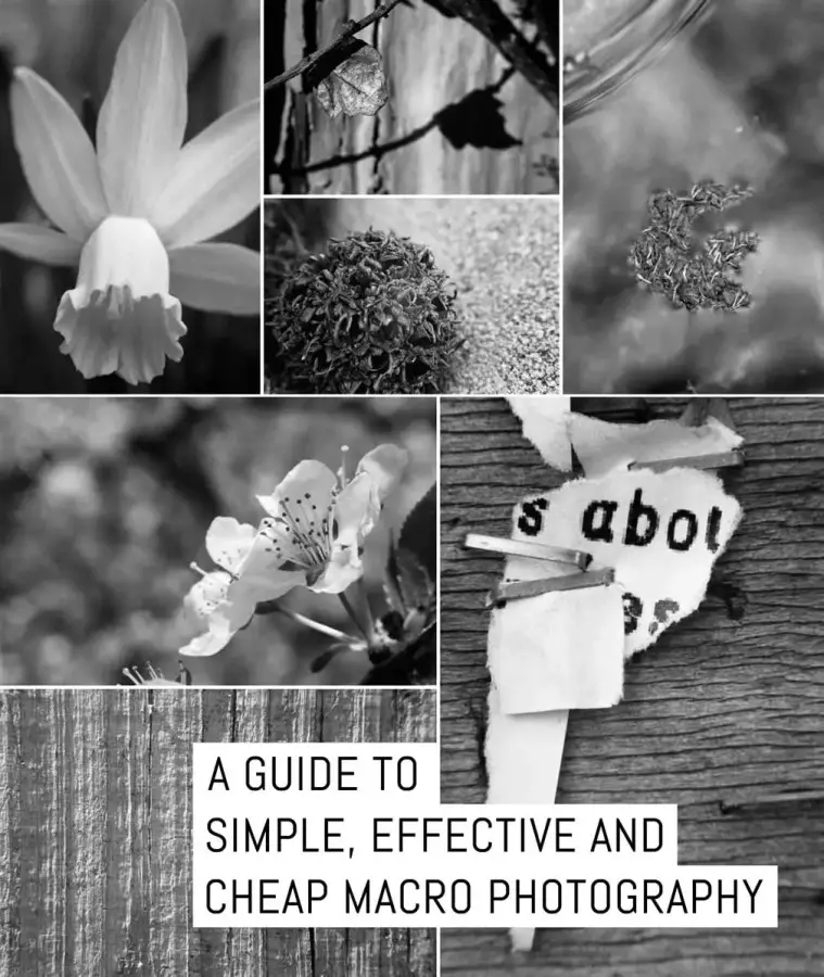 A guide to; Simple, effective and CHEAP macro photography
