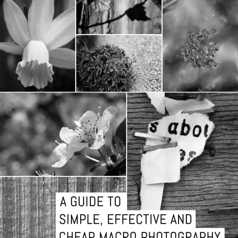 A guide to; Simple, effective and CHEAP macro photography