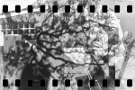 5 Frames... Of 35mm film in a Kodak Brownie 1B (EI 125 / 35mm format / ILFORD FP4 PLUS) - by Christopher James