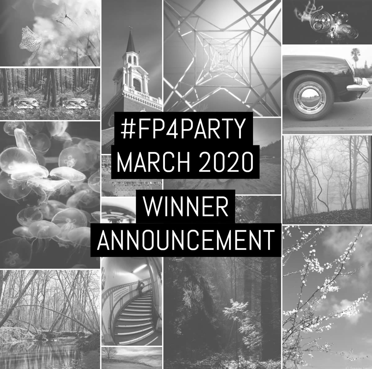 #FP4Party March 2020 winner announcement