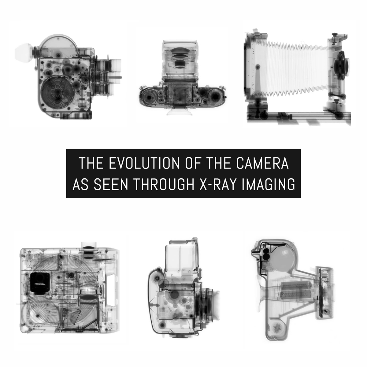 The evolution of the camera as seen through X-ray imaging