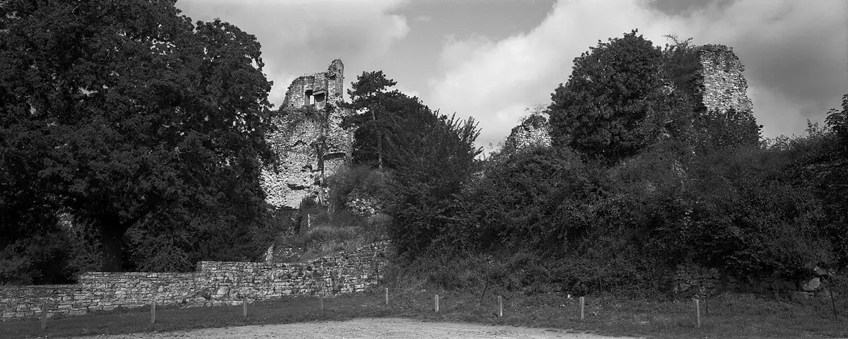Saint-Aubin-du-Cormier Castle ruins - Pali K6x14V5 with 90mm f/8 Super-Angulon, Fujifilm NEOPAN 100 ACROS