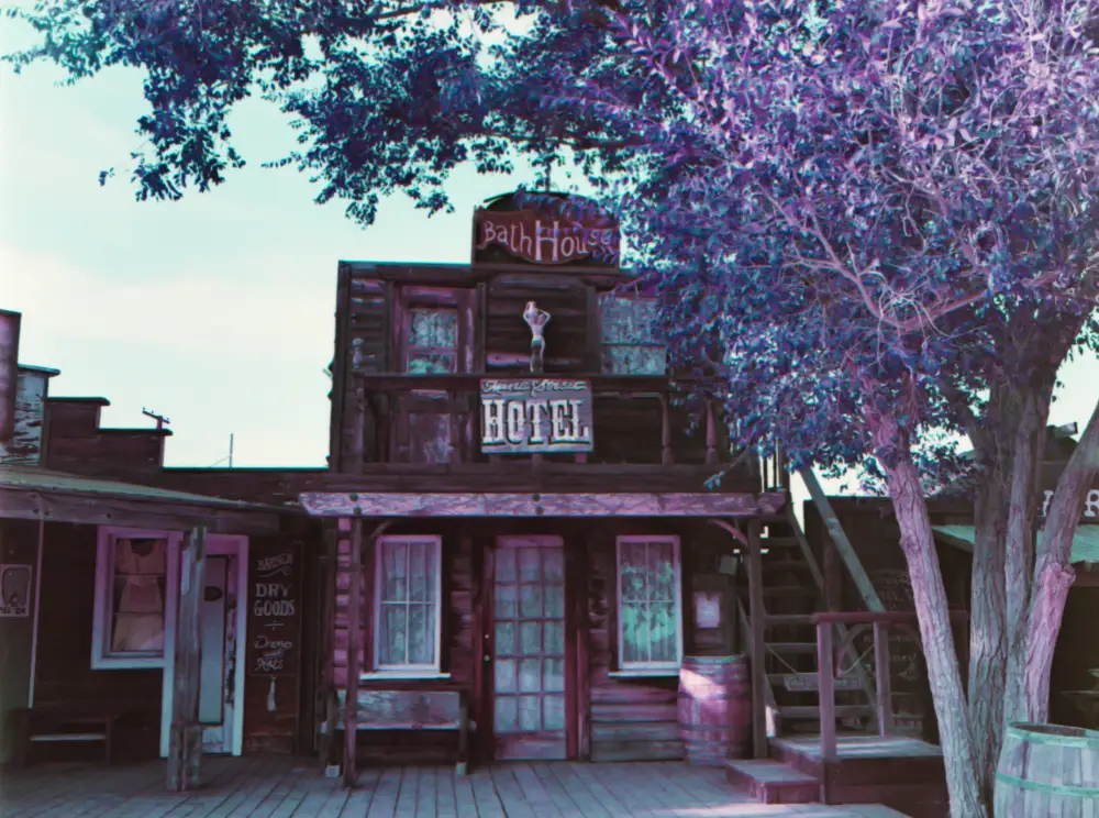 an old western style hotel with a purple tree in front of it