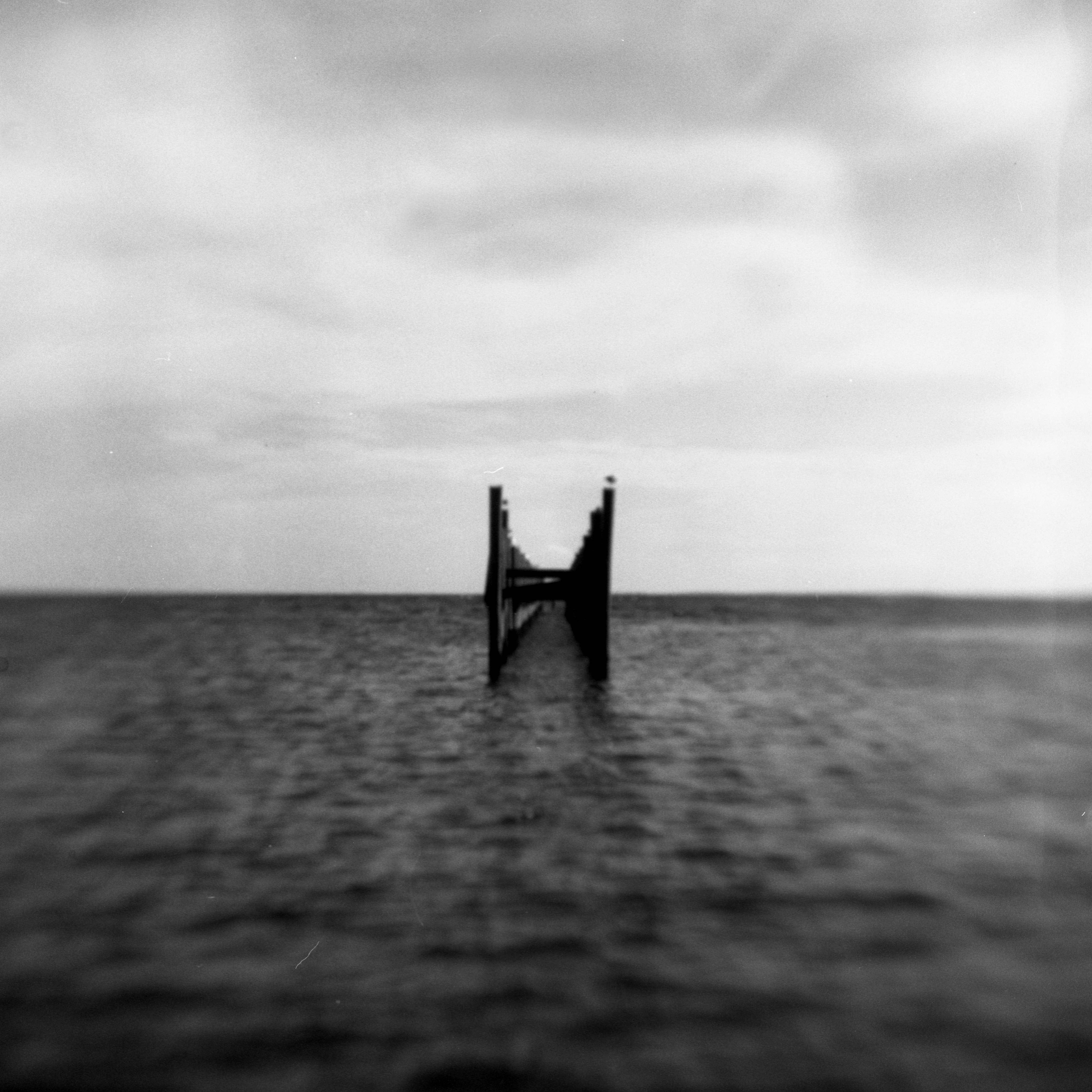 a photograph of pier supports in the sea