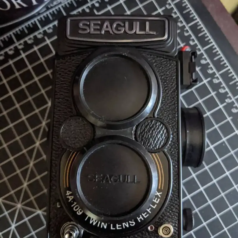 My Seagull 4A-109 TLR, Randy Saint-Louis