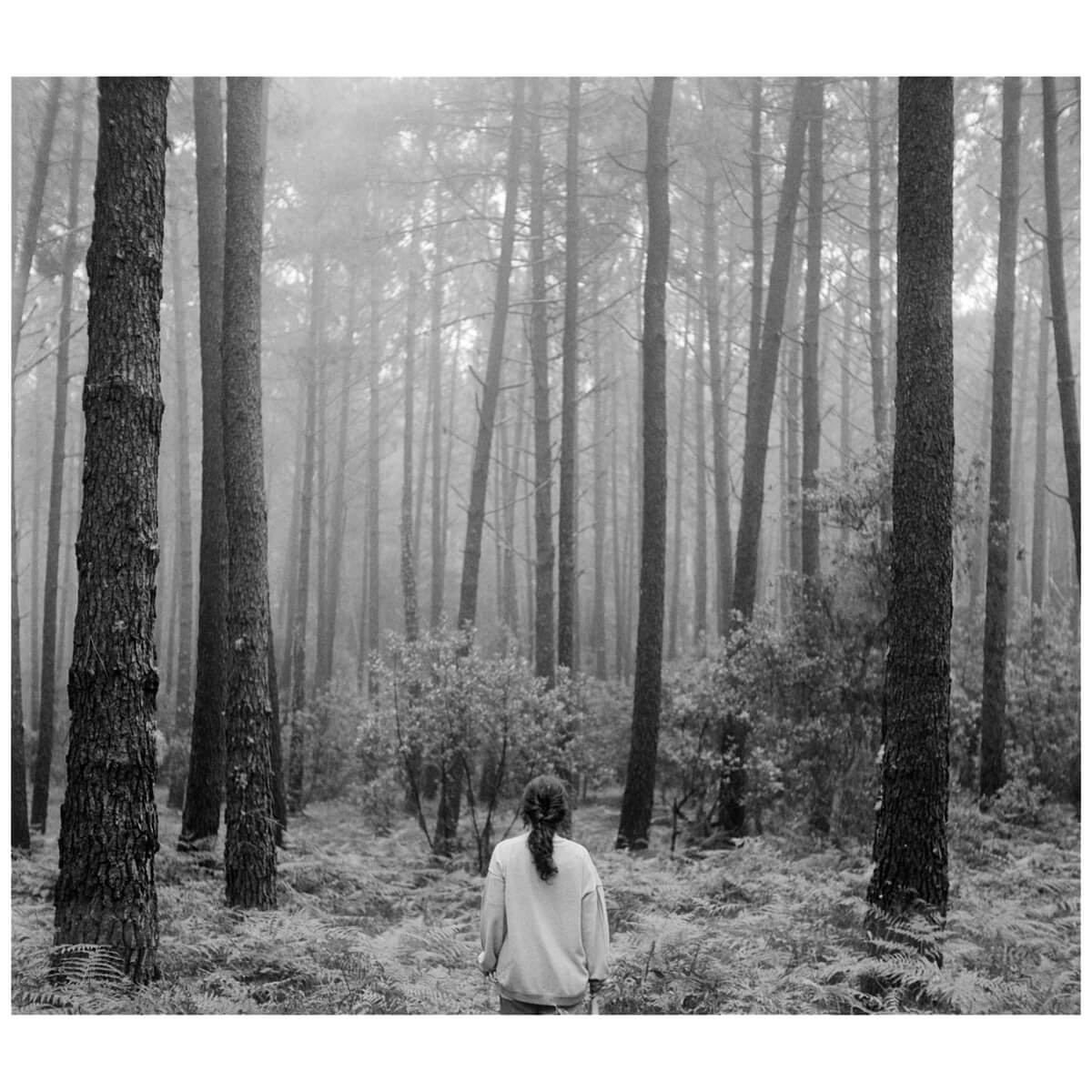 5 Frames... Of a foggy forest on an English TLR and Kodak Tri-X 400 (120 Format / EI 400 / MPP Microcord MKII + 77.5mm f/3.5 Ross Xpres) - by Leo Nikishin