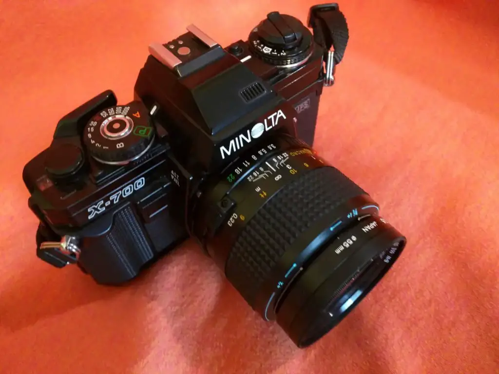 MY Minolta X-700 + MD 50mm f/3.5 Macro Lens), Kathleen E. Johnson