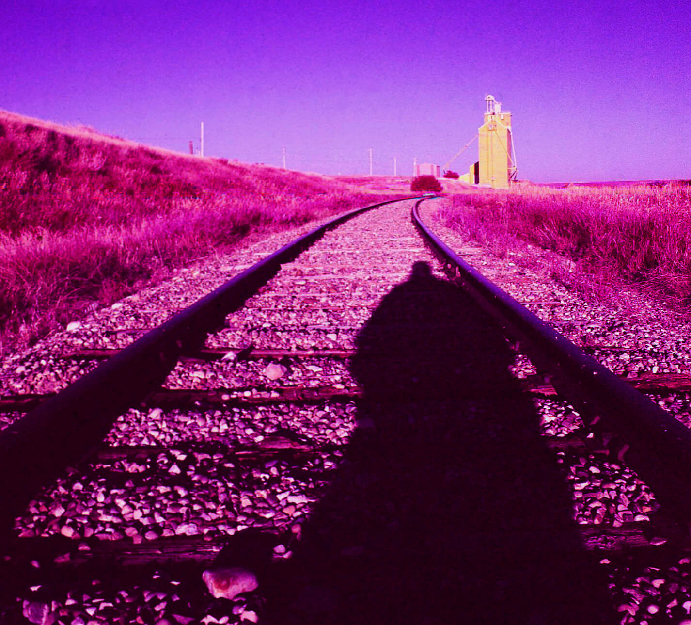5 Frames... Of the Saskatchewan prairies on Kodak AEROCHROME III Infrared Film 1443 (120 Format / EI 400 / Mamiya C330 Professional S) - by Bob St-Cyr