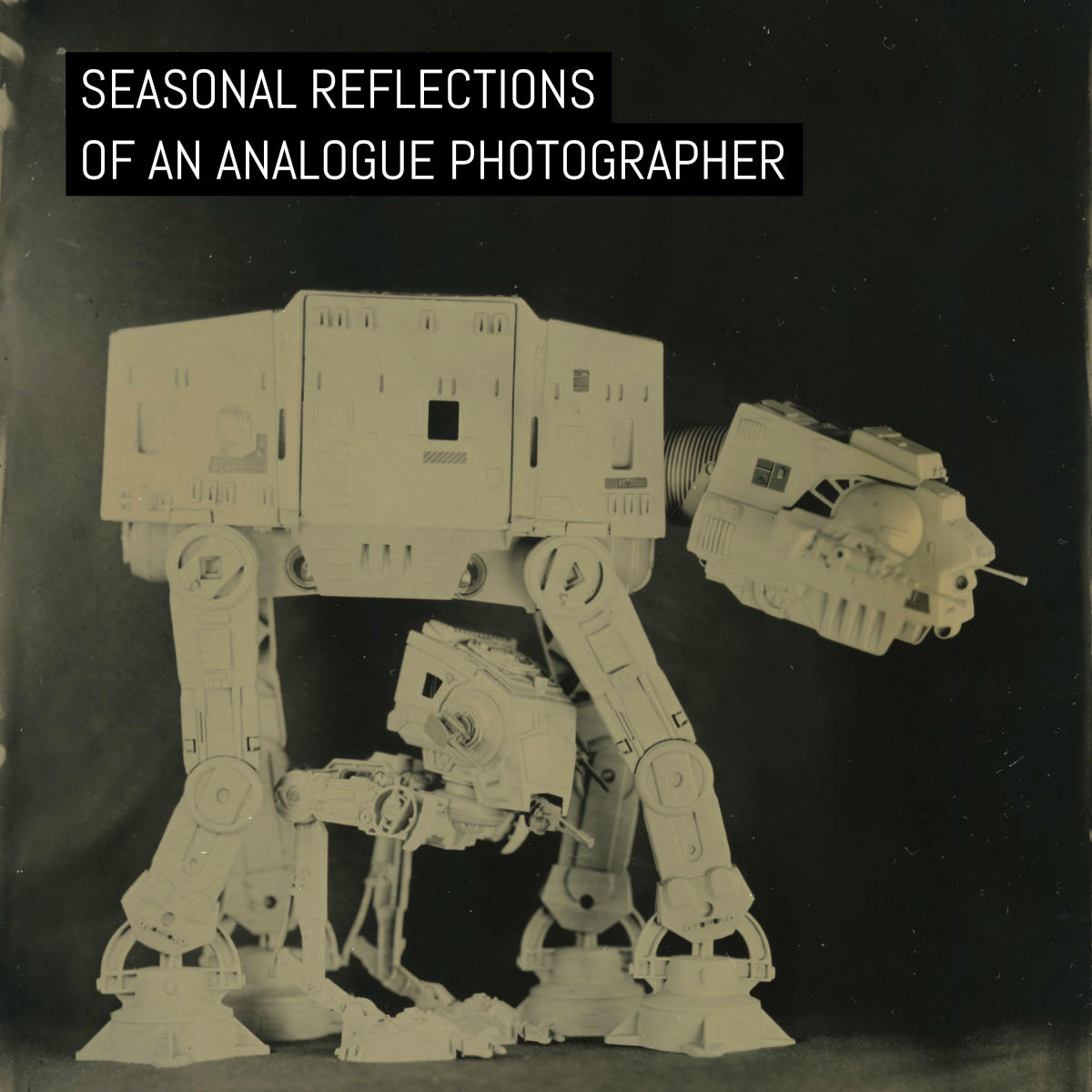 Cover: Seasonal reflections of an analogue photographer