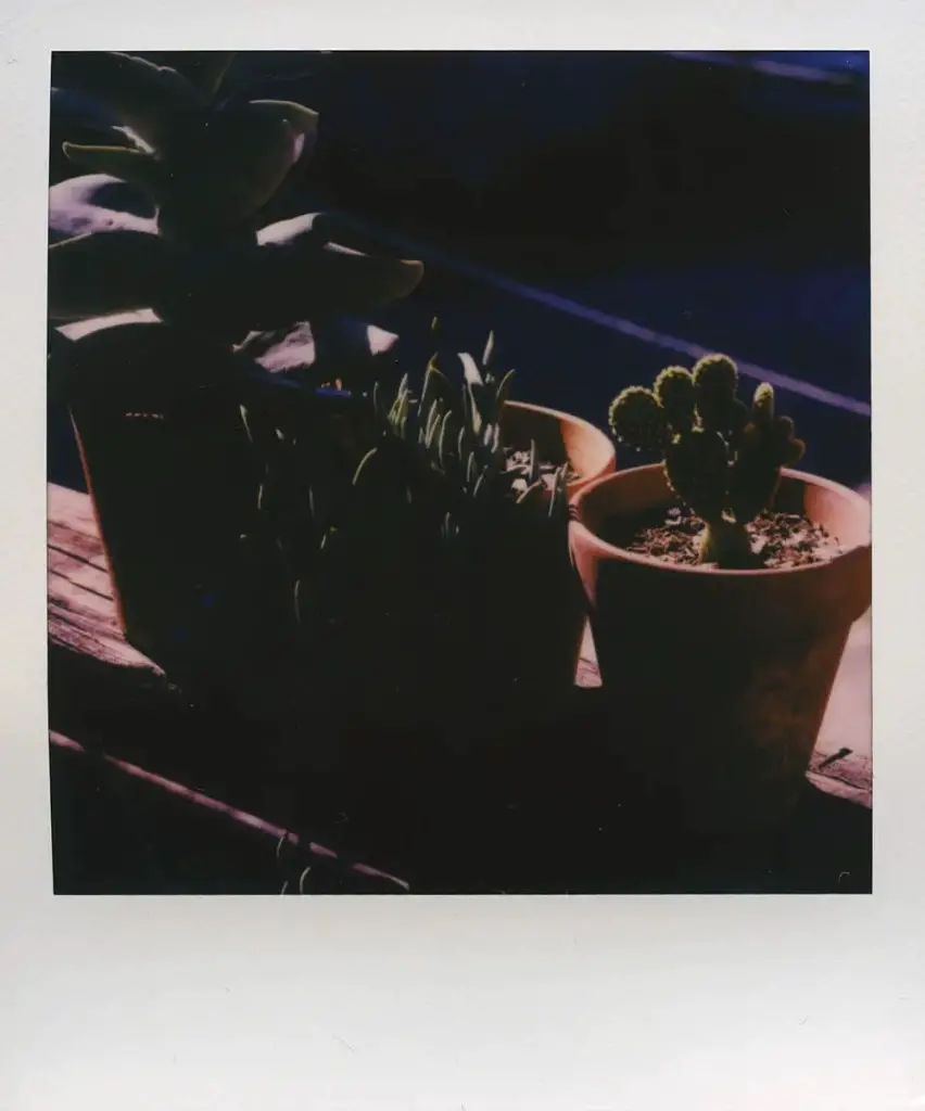 5 Frames... Of Polaroid Originals on an old Burke & James Orbit 4x5 camera - by Nathan Acevedo