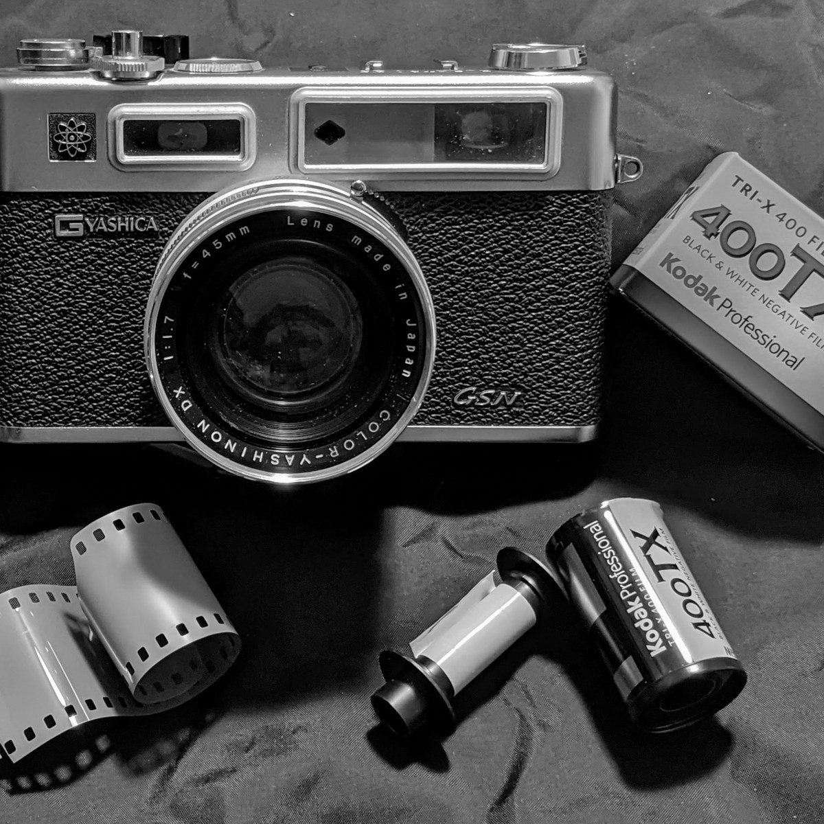 5 Frames... From a walk around Cape Pond, Massachusetts on Kodak Tri-X 400 (35mm Format / EI 400 / Yashica Electro 35 GSN) - by Bob Harrison