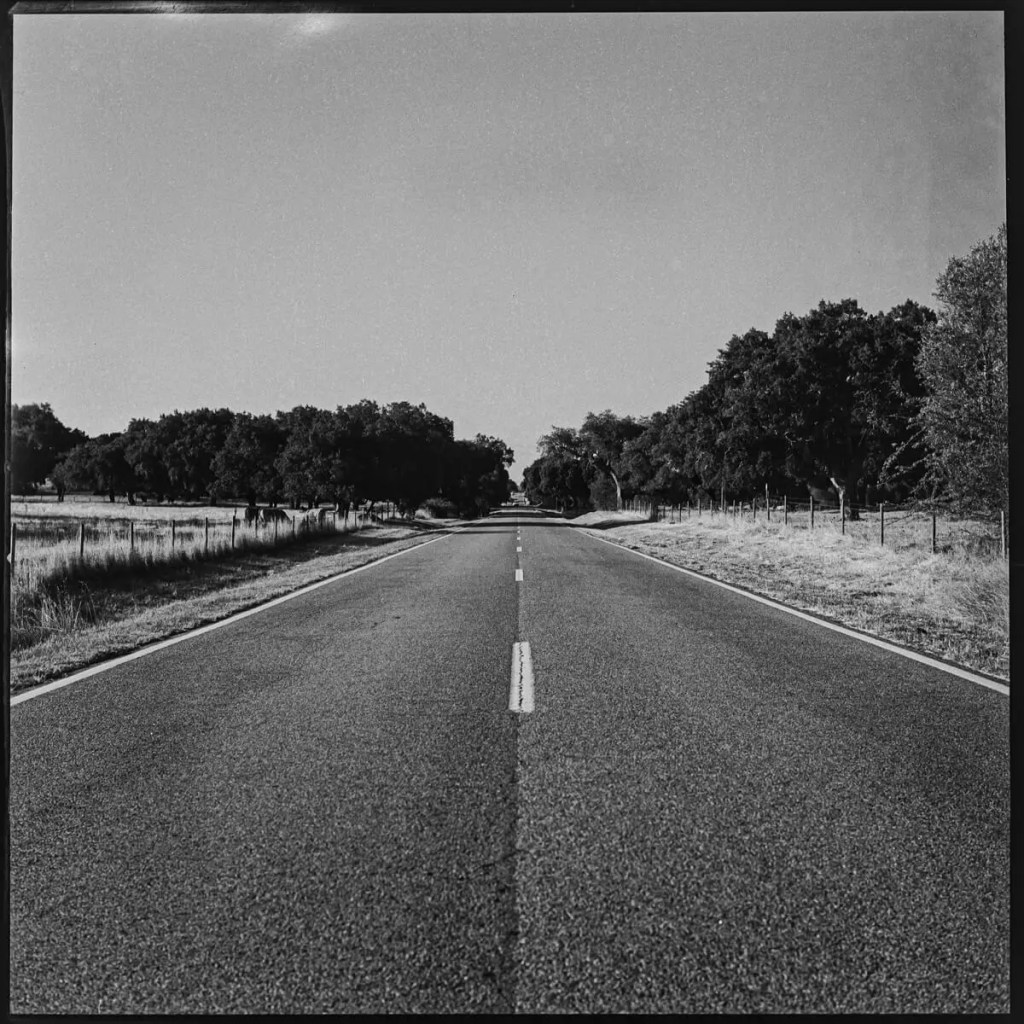 Straight road vista, Alentejo Hasselblad 500C, Carl Zeiss Distagon 50mm f/4, ILFORD FP4 PLUS