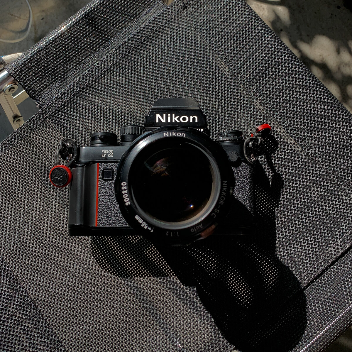 Nikon F3P - top down