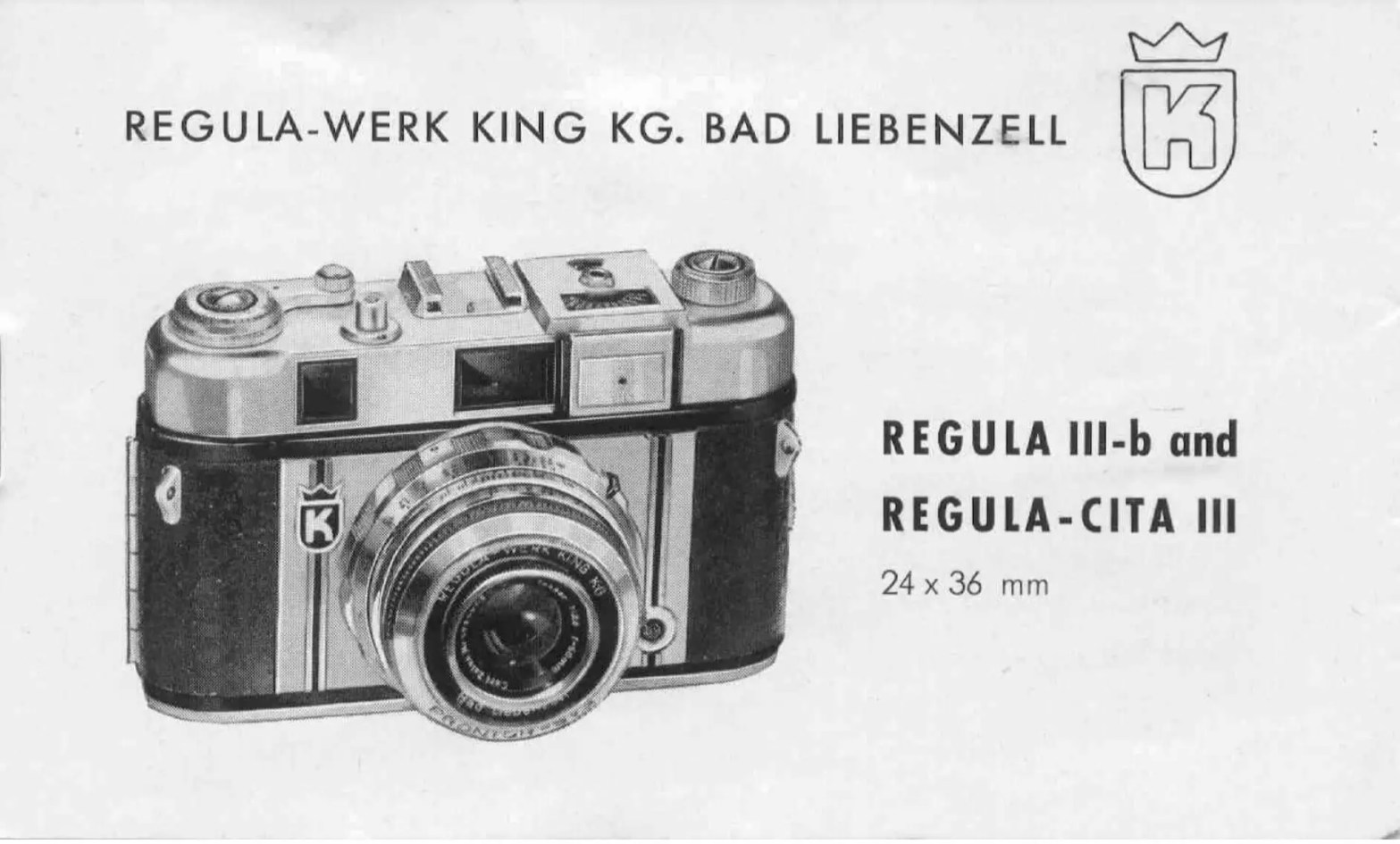 5 Frames… Of 15 year expired Agfa Scala 200 on a King Regula Cita III (35mm Format /  EI 200 / Tessar f/2.8 lens)