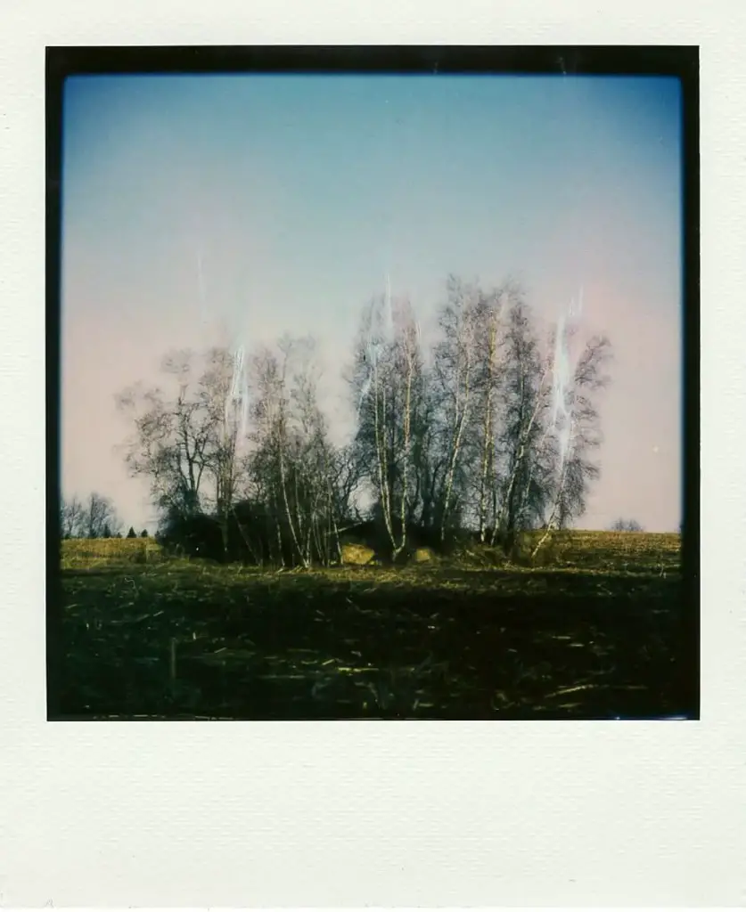 More Polaroid sheets through the Instant Lab