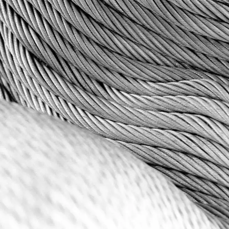 Coiled #04 - Shot on ILFORD FP4 PLUS at EI 500 Shot on ILFORD FP4 PLUS at EI 500. Black and white negative film in 35mm format. Push processed 2-stops. Nikon F6 + Nikon 70-200mm f/2.8 VR / Nikon Super Coolscan 4000 ED.