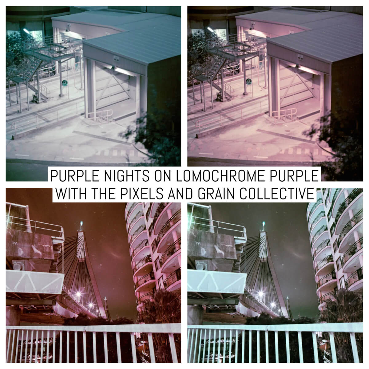 Purple nights on Lomochrome Purple with the Pixels and Grain Collective