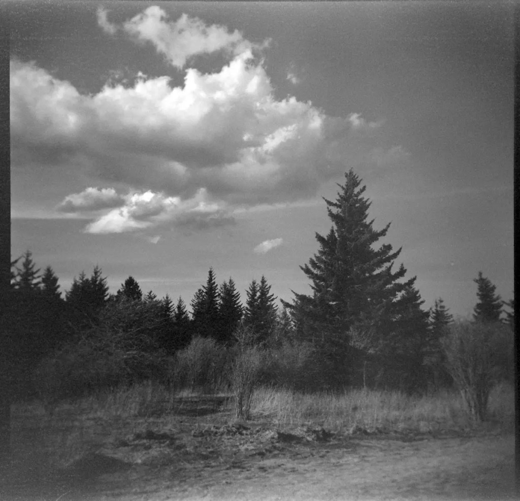 5 Frames... Of Bergger Pancro 400, shot in a Holga 120N, so an EI of 400? (120 Format + red and orange filters)