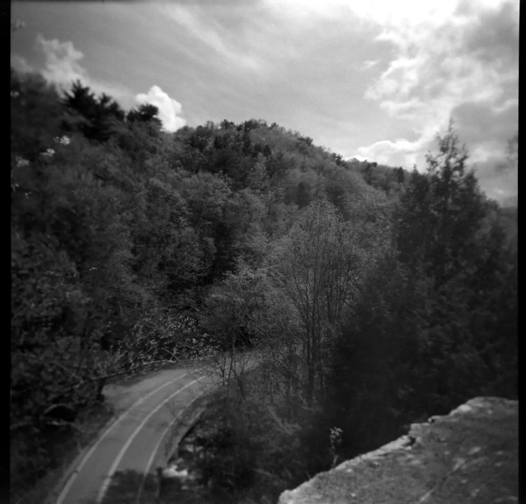 5 Frames... Of Bergger Pancro 400, shot in a Holga 120N, so an EI of 400? (120 Format + red and orange filters)