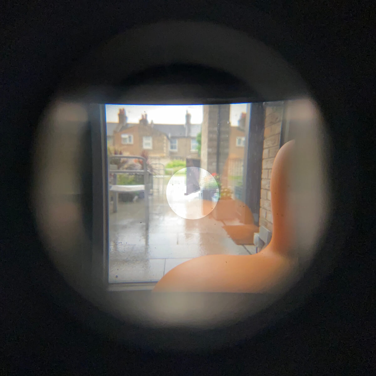 The view through the pentaprism