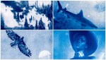 How I transformed cyanotype prints into a video for Vivienne Westwood