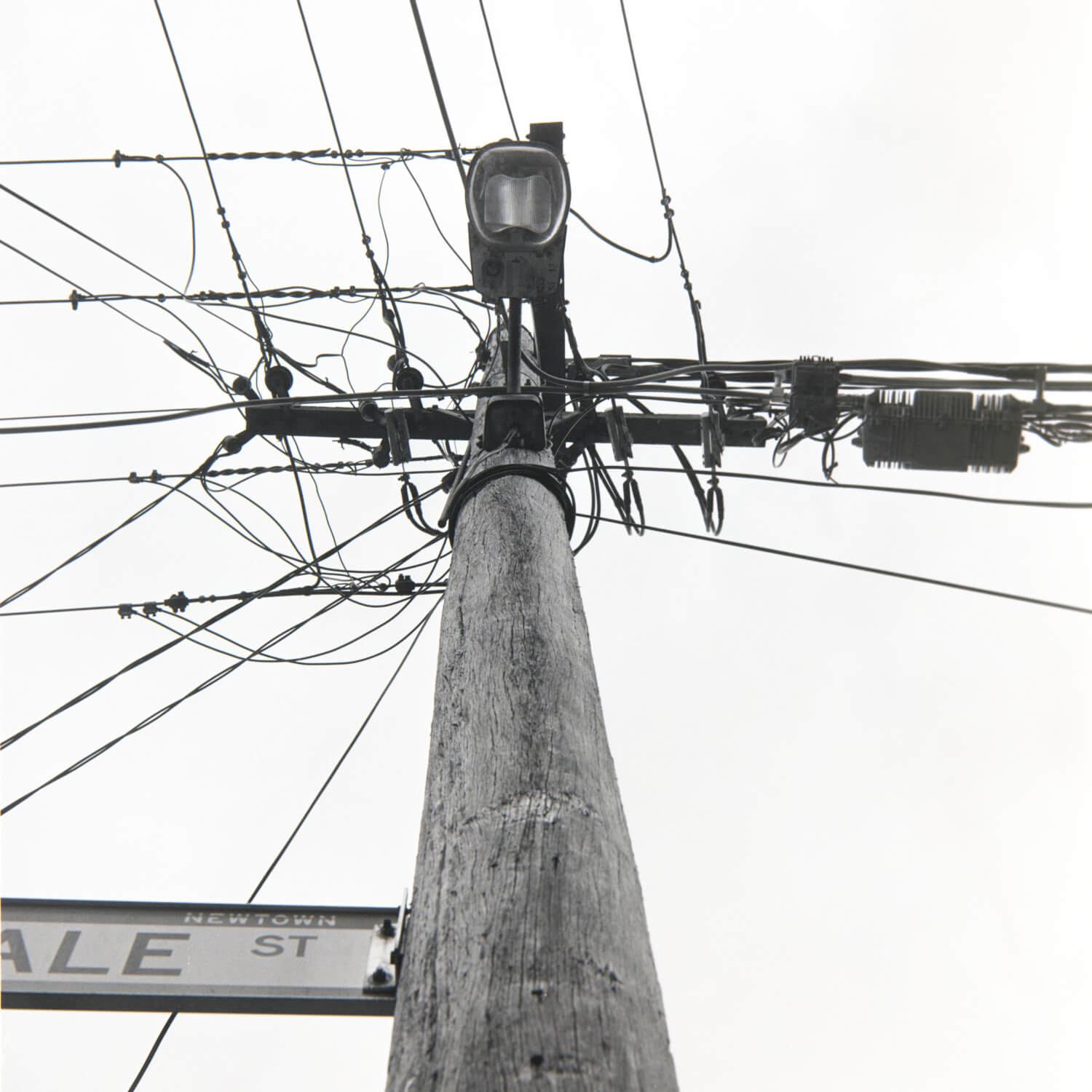 Local pole, Mamiya c330 with 40mm lens on T-max 100 (home dev and scan)