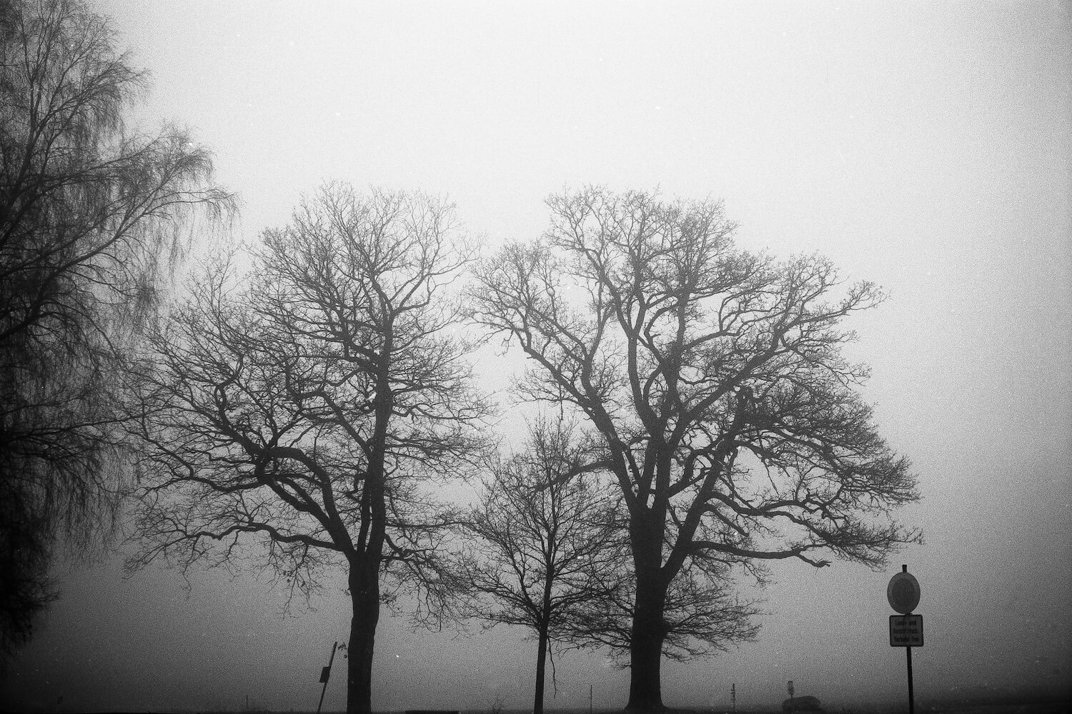 5 Frames... In the fog with an Agfa Optima I and NoColorStudio No. 10 film (35mm Format / EI 100 / Agfa Color-Agnar f/2.8/45mm) - by Olaf