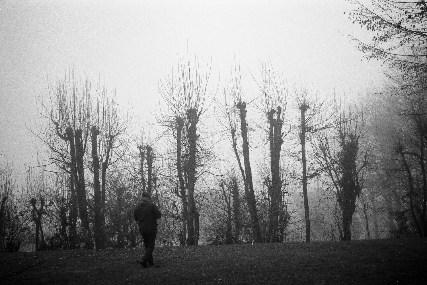 5 Frames... In the fog with an Agfa Optima I and NoColorStudio No. 10 film (35mm Format / EI 100 / Agfa Color-Agnar f/2.8/45mm) - by Olaf