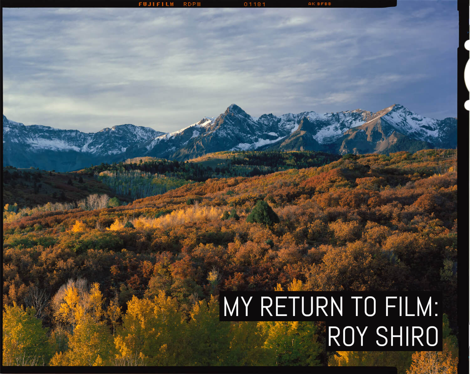 My return to film: Roy Shiro