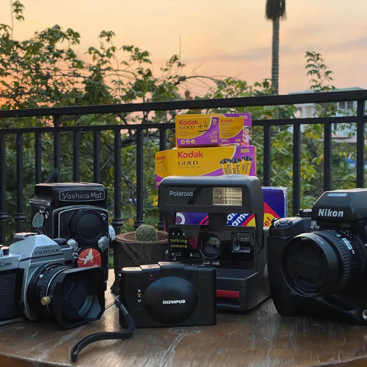 Cameras used, from left to right: Pentax K1000, Yashica Mat, Olympus XA2, Polaroid 636, and Nikon F4s.