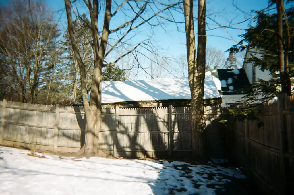 Shadows from tree branches are cast on a wooden fence.  There is snow on the ground behind the fence and there is snow on the roof of a building which is visible behind the fence.  The sky is blue.  There are two trees in front of the fence.  5 Frames of Kodak Portra 400 on Kodak M35 plastic camera - Kerry Constantino.  By