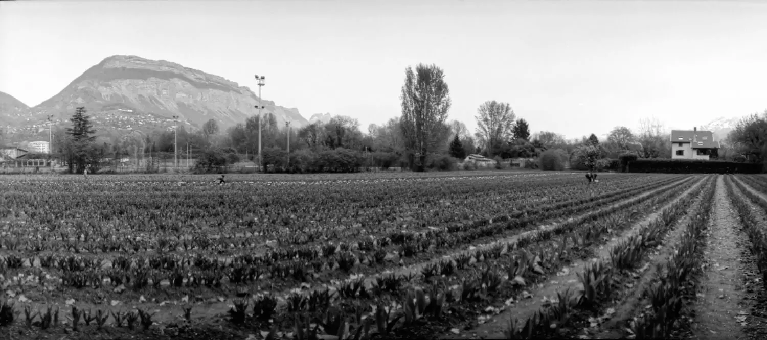 5 Frames... Of panoramas in Grenoble on Kodak Panchromatic Separation Film 2238 (35mm Format / EI 12 / Horizon Perfekt + OF-28p 28mm f/2.8 MC lens) - by Alfonso Carpio Rovira