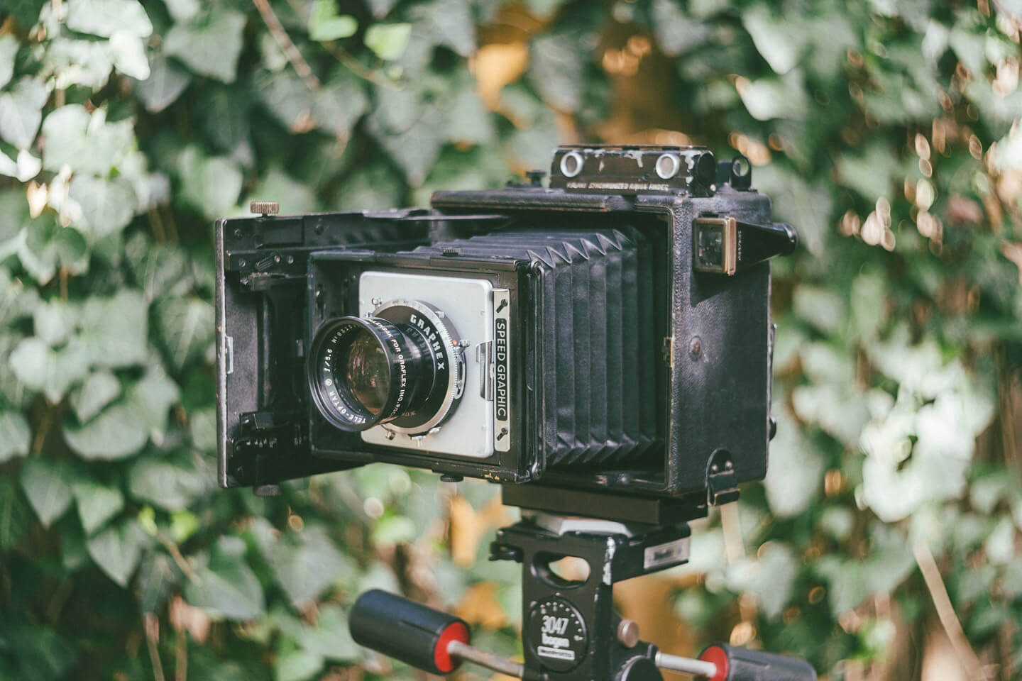 35mm Film – Beau Photo Supplies Inc.