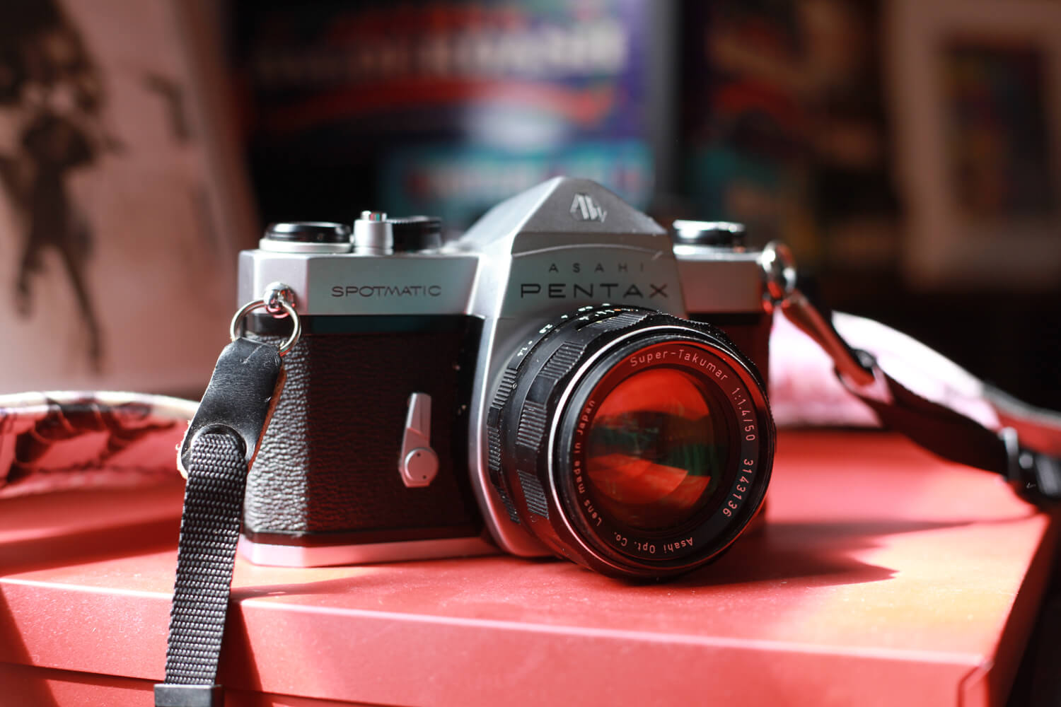 5 Frames of portraits in Shillong on Kodak Portra 400 (35mm Format / EI 400  / Canon AE 1- Program + Canon FD 50mm f/1.8) - EMULSIVE