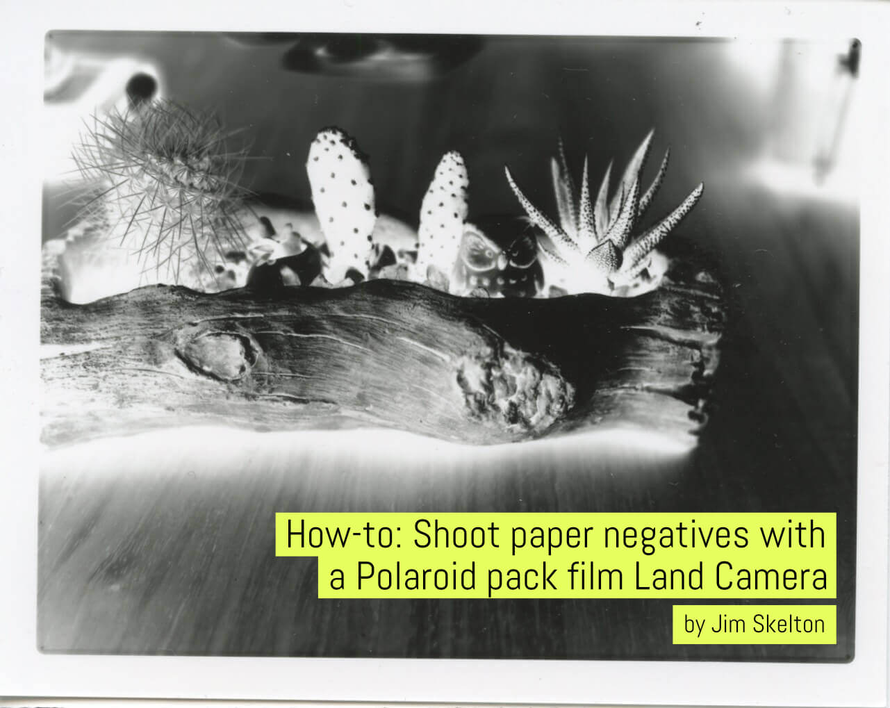 Gom kennisgeving periodieke How-to: Shoot paper negatives with a Polaroid pack film Land Camera -  EMULSIVE