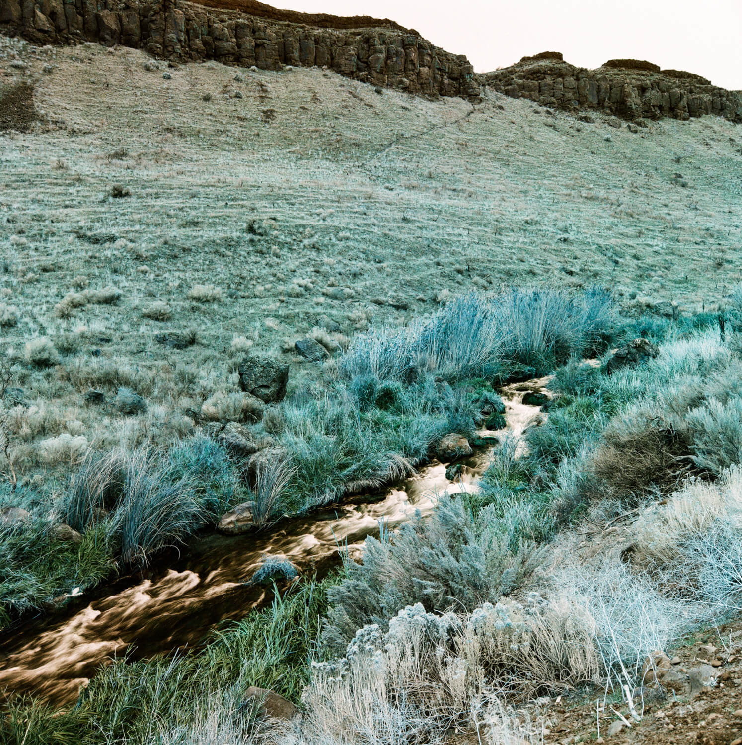 Creek - LomoChrome Turquoise XR 100-400
