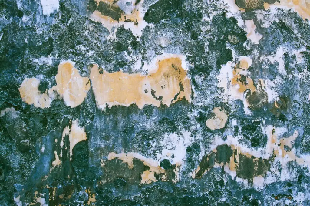 Wall abstract - Fuji Superia X-TRA 400 - Dan Kehlenbach
