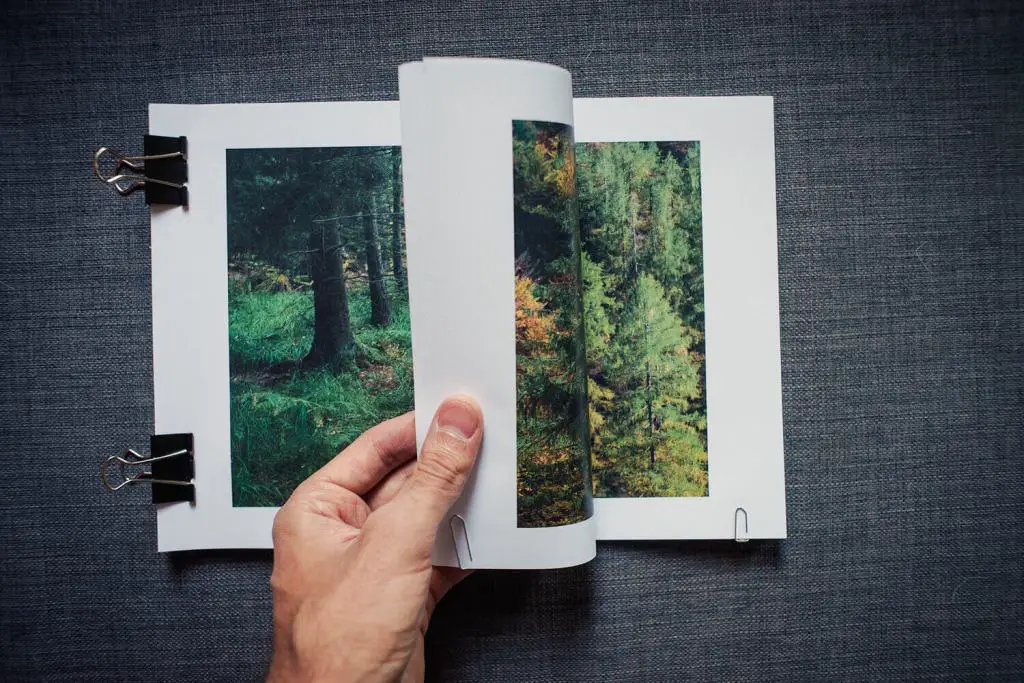 Enter the Forest - Flexible book prototype