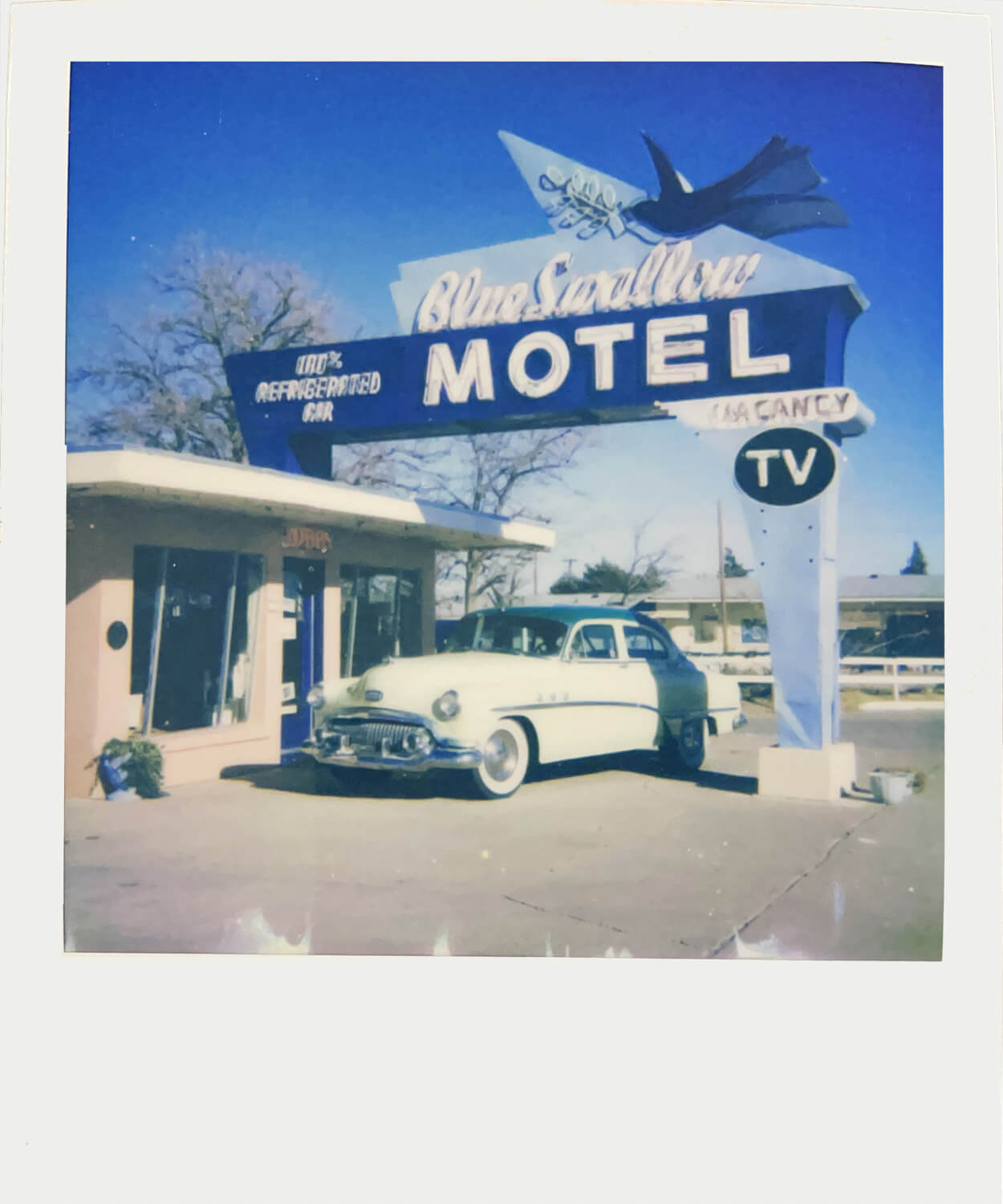 Polaroid 600 - Blue Swallow Motel - Matt Andrews
