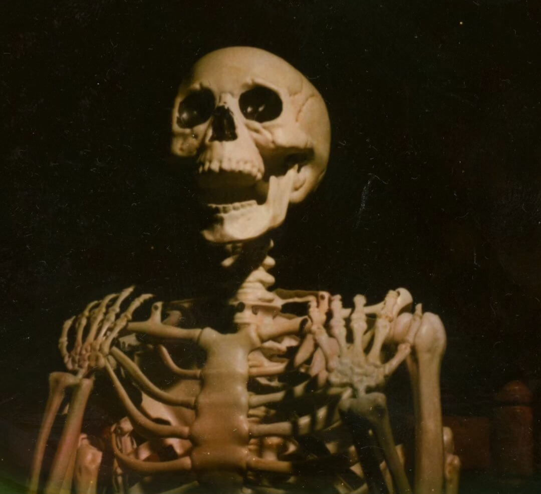 5 Frames… Of my boy (skeleton) Jeffrey on Polaroid Color SX-70 film